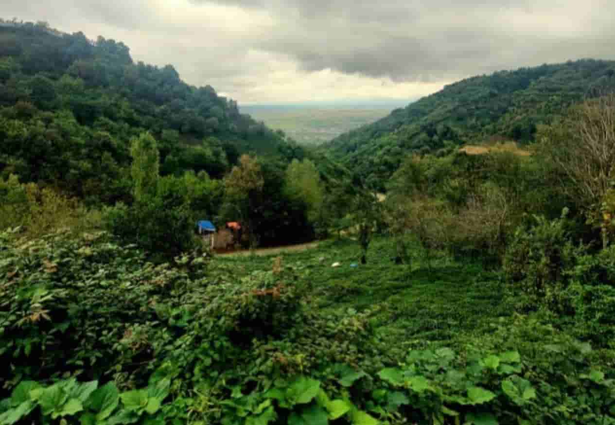 اجاره بومگردی سنتی در گالشکلام لنگرود - بیناز