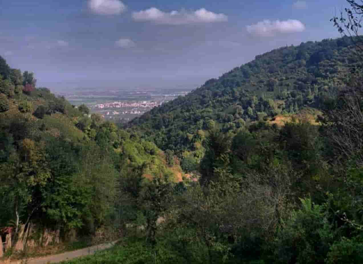 اجاره بومگردی سنتی در گالشکلام لنگرود - بیناز