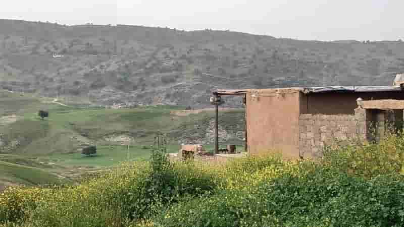 اجاره اتاق بومگردی40 متری در اندیکا - واحد 2