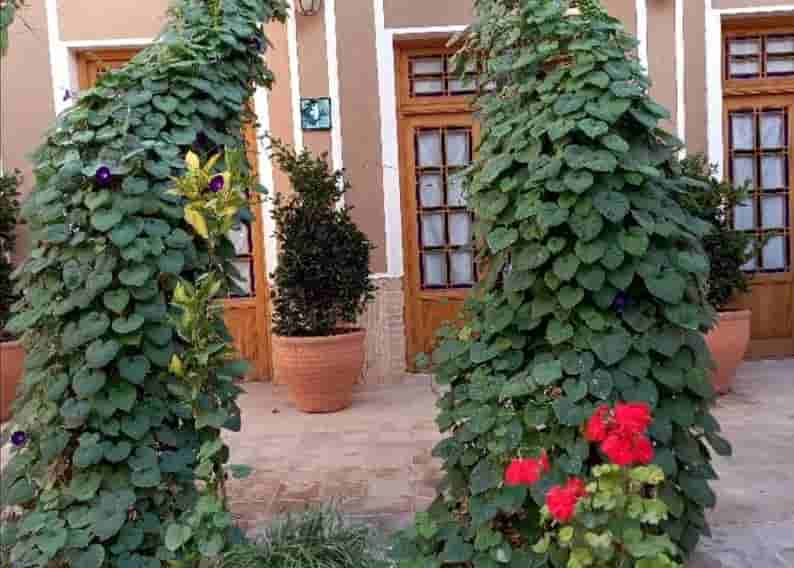 اجاره بومگردی در خیابان گلسرخ - سعادت