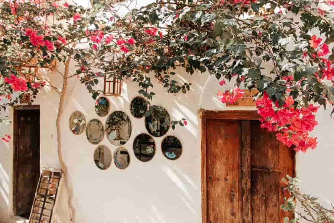 اجاره اتاق بوم گردی در بندر کنگ - 12 متری