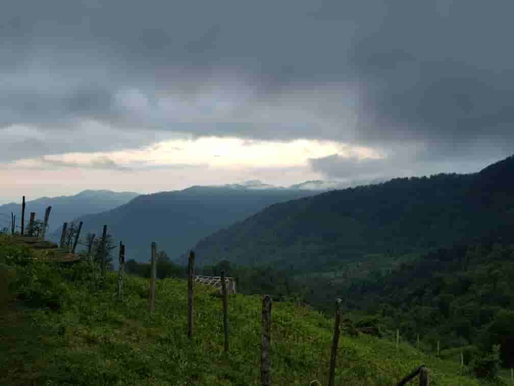 اجاره کلبه چوبی جنگلی در اولسبلنگاه