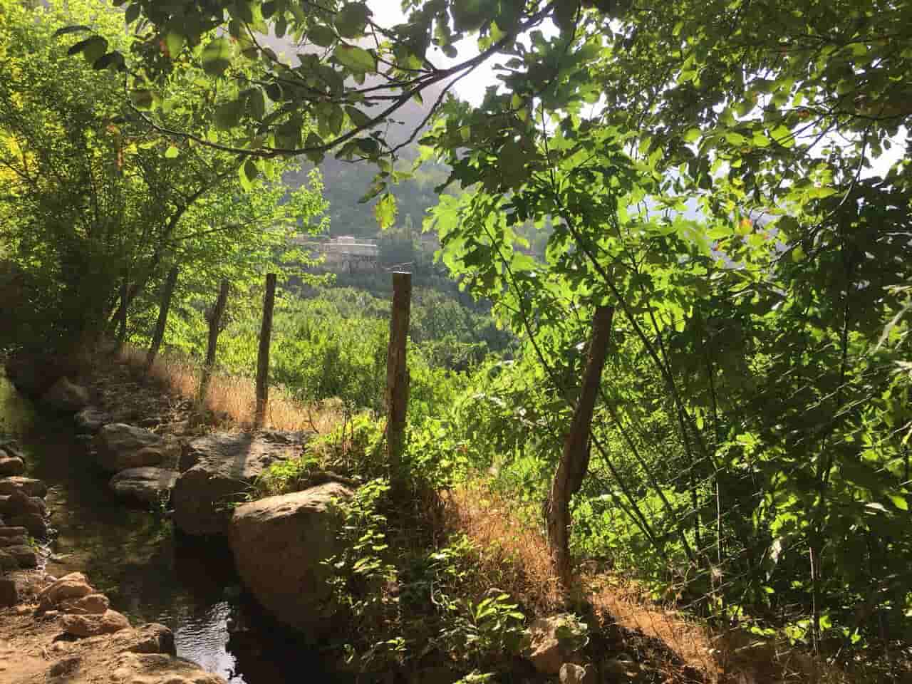 سوئیت مبله در داریان پاوه