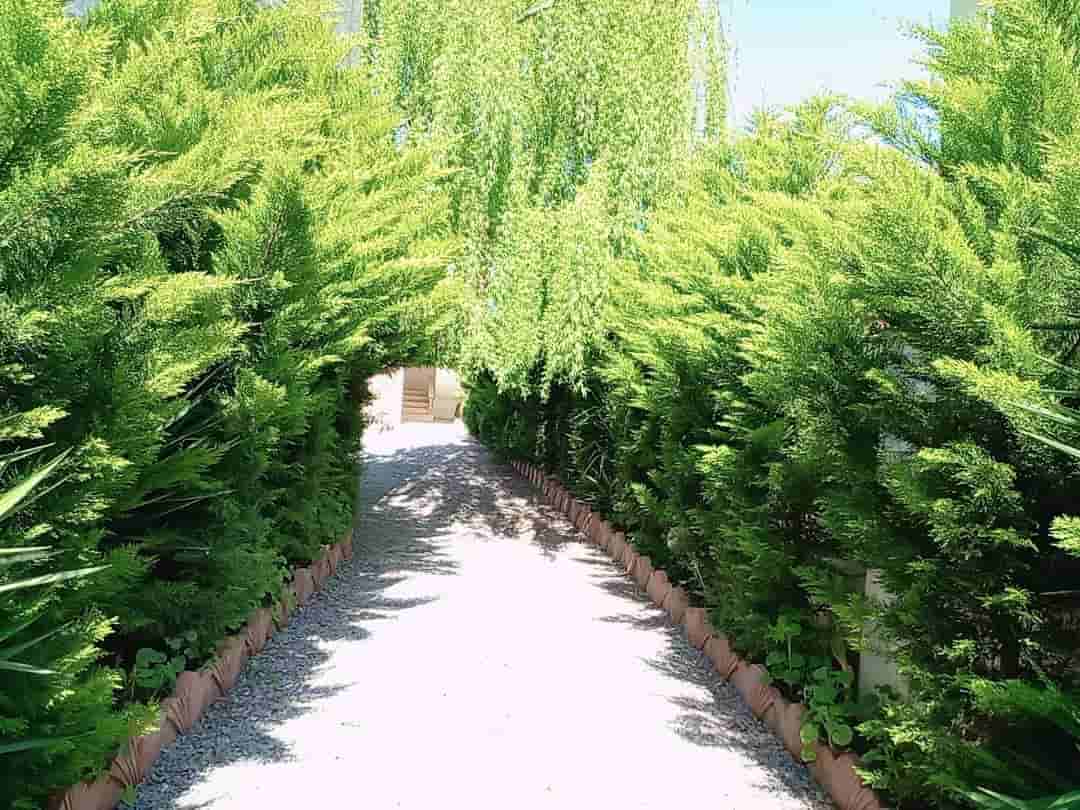 اجاره ویلا نزدیک دریا در رویان نور