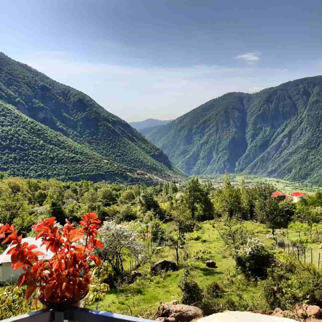 اجاره سوئیت جنگلی در هشت پر - شماره چهار