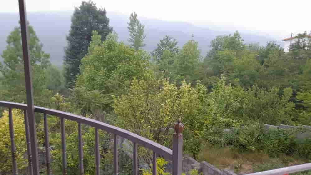 اجاره ویلا جنگلی در خلیل کلا لفور - تراس شیشه ای