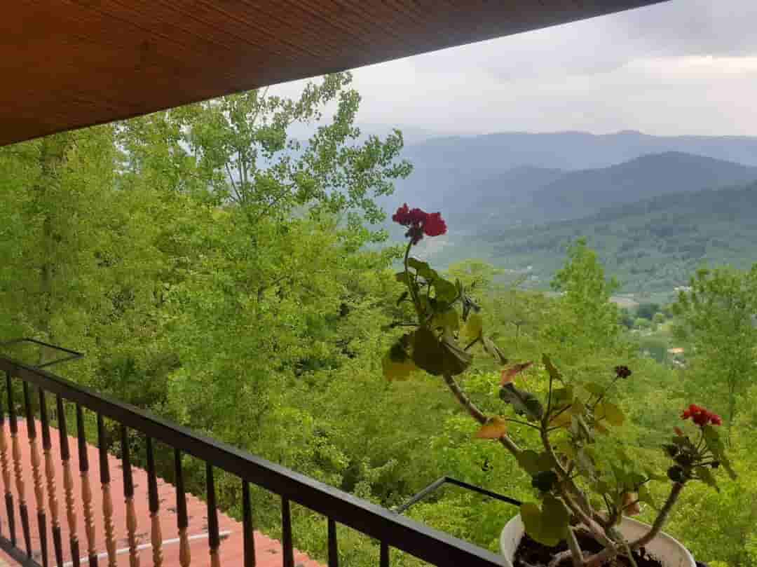 مجتمع ویلایی جنگلی در روستای چاسرکا در بابل - 3