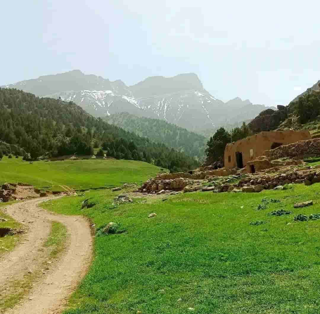 اجاره بومگردی روستای چهارراه کلات - دلبر