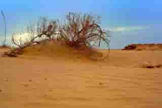 اجاره بومگردی قیمت مناسب در خور - اتاق 4