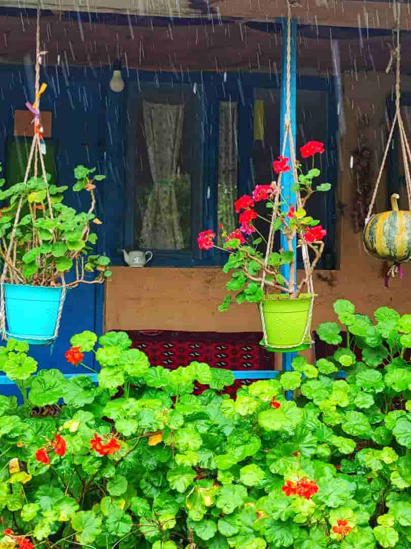 اجاره خانه سنتی بدون مستر در روستای تازه آباد - سیاهکل