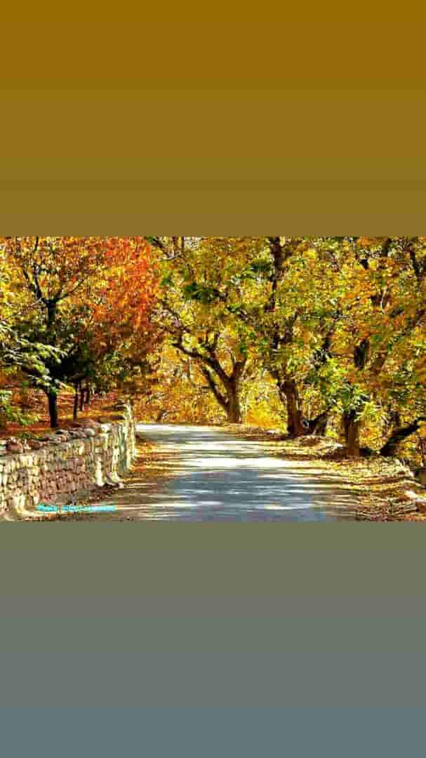 اجاره بومگردی سنتی دهکد ساجی اسفراین - اتاق4