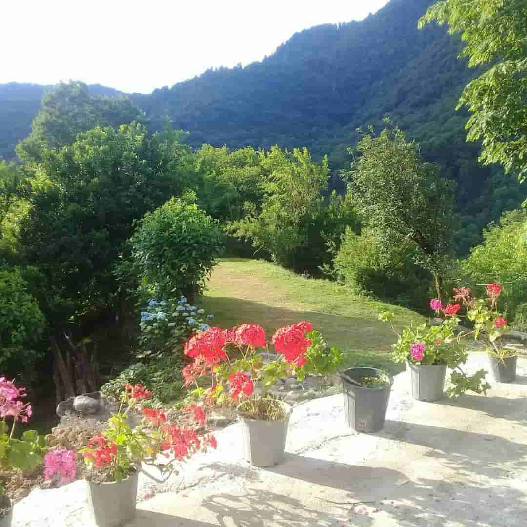 اجاره کلبه جنگلی در قلعه رودخان-دوخوابه طبقه دوم