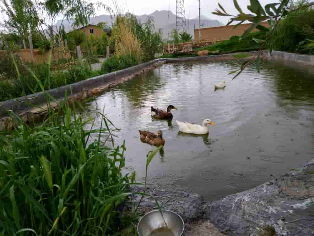 اجاره اقامتگاه بومگردی سنتی در جاده سراب کرمانشاه