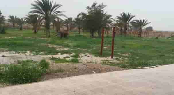 اجاره اتاق سنتی در روستای نره کوه دیر  - 6