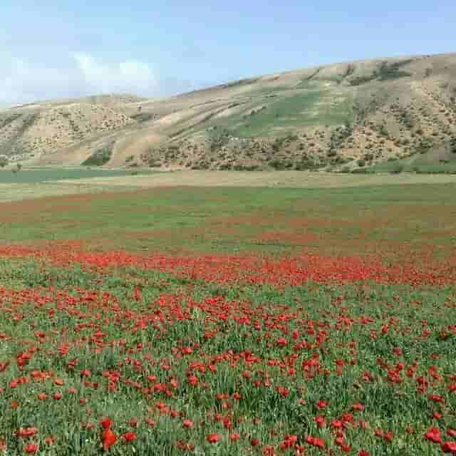 اجاره اقامتگاه بومگردی و خانه روستایی در حسین آباد شاهرود