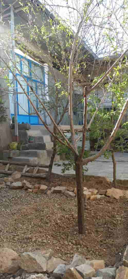 اجاره بومگردی سنتی در روستای کوی نیک ابهر