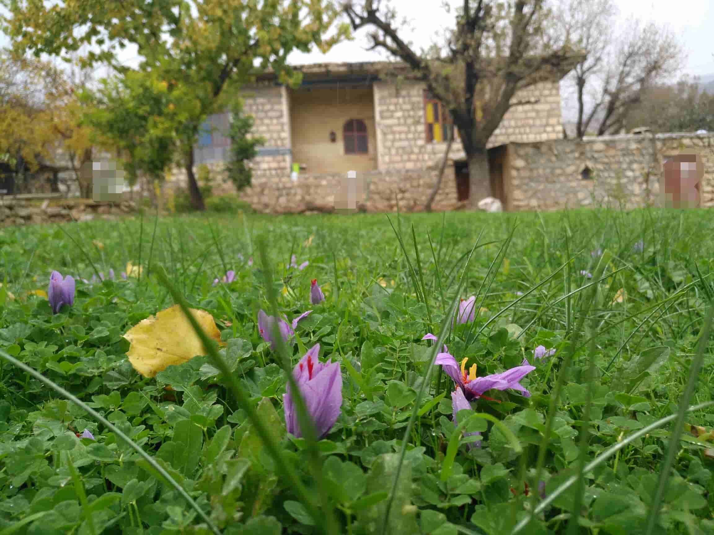 اجاره اتاق بومگردی در قلعه سرد دهدز 16 متری