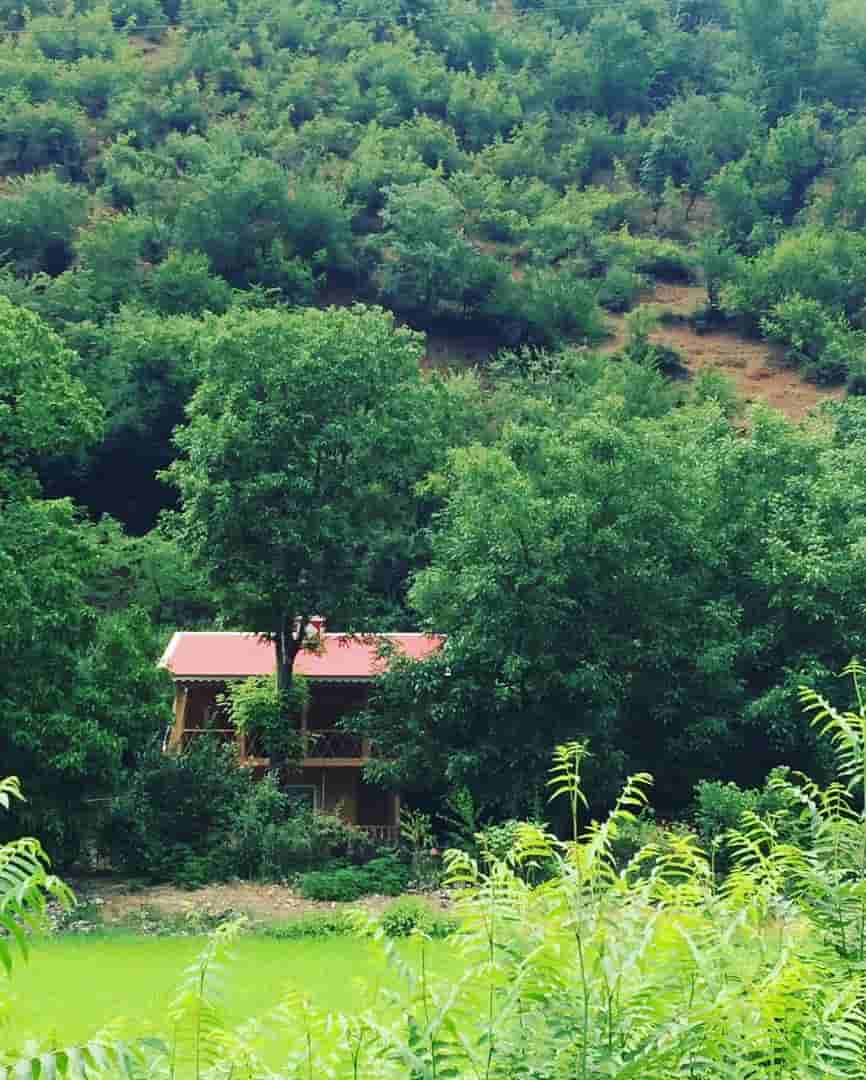 کلبه چوبی جنگلی در روستای گنذر ماسال