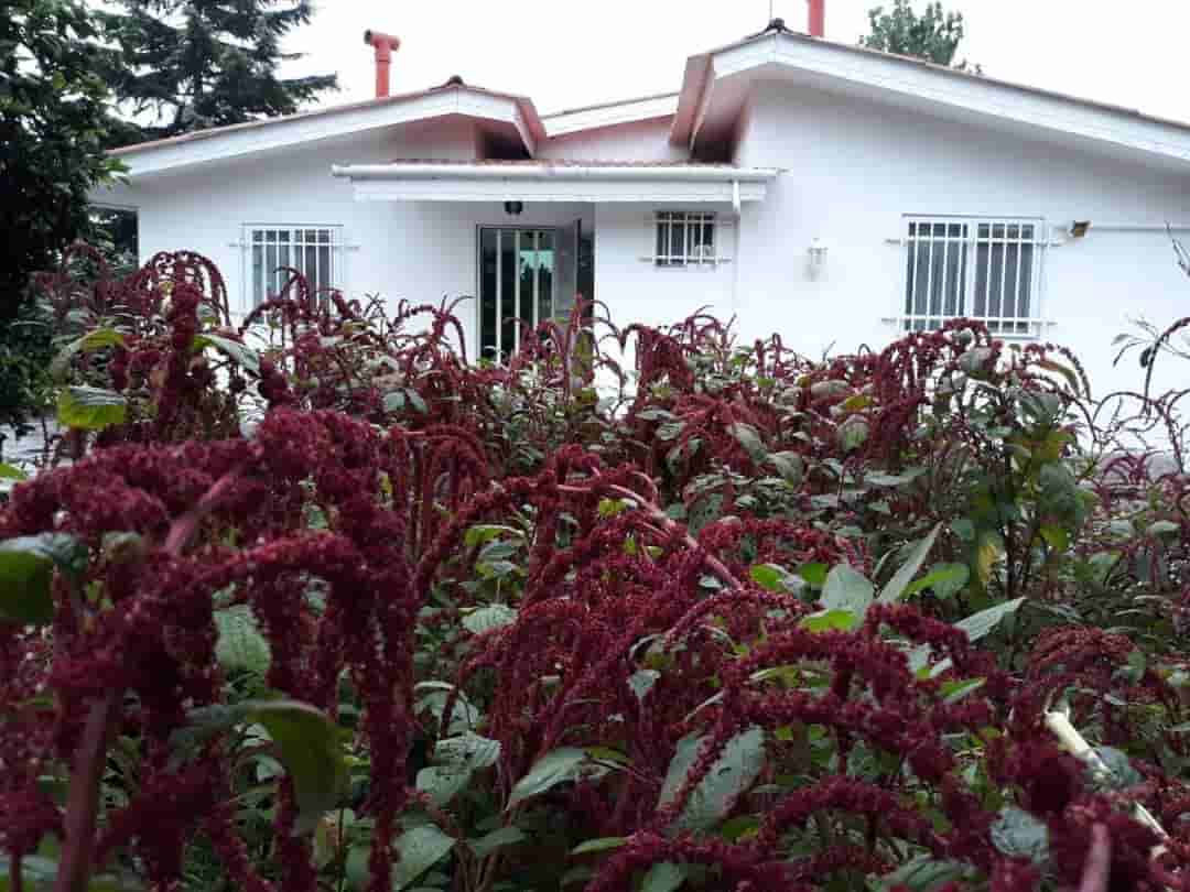 اجاره باغ و ویلا در نیلی کنار رامسر