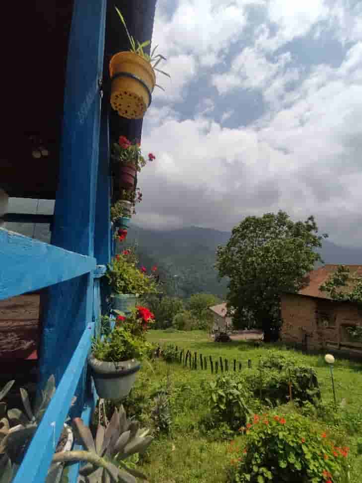 بومگردی جنگلی در روستای چسلی ماسال 