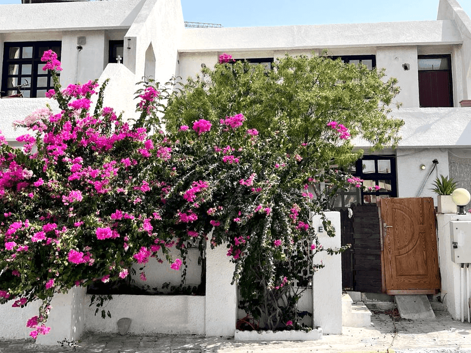 اجاره منزل ویلایی ساحلی در خیابان موج کیش 
