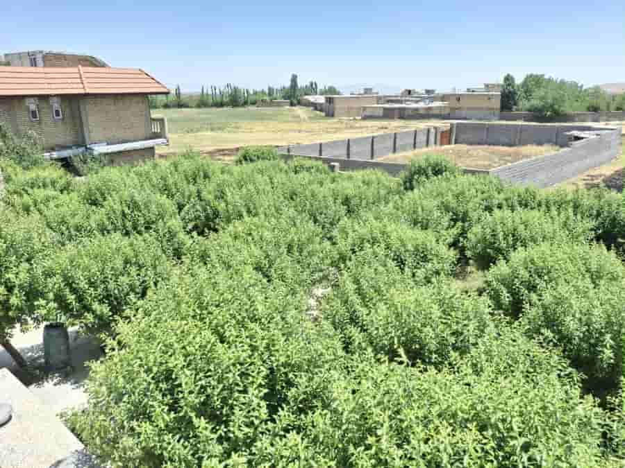 ویلا باغ در روستای برشنه سپیدان
