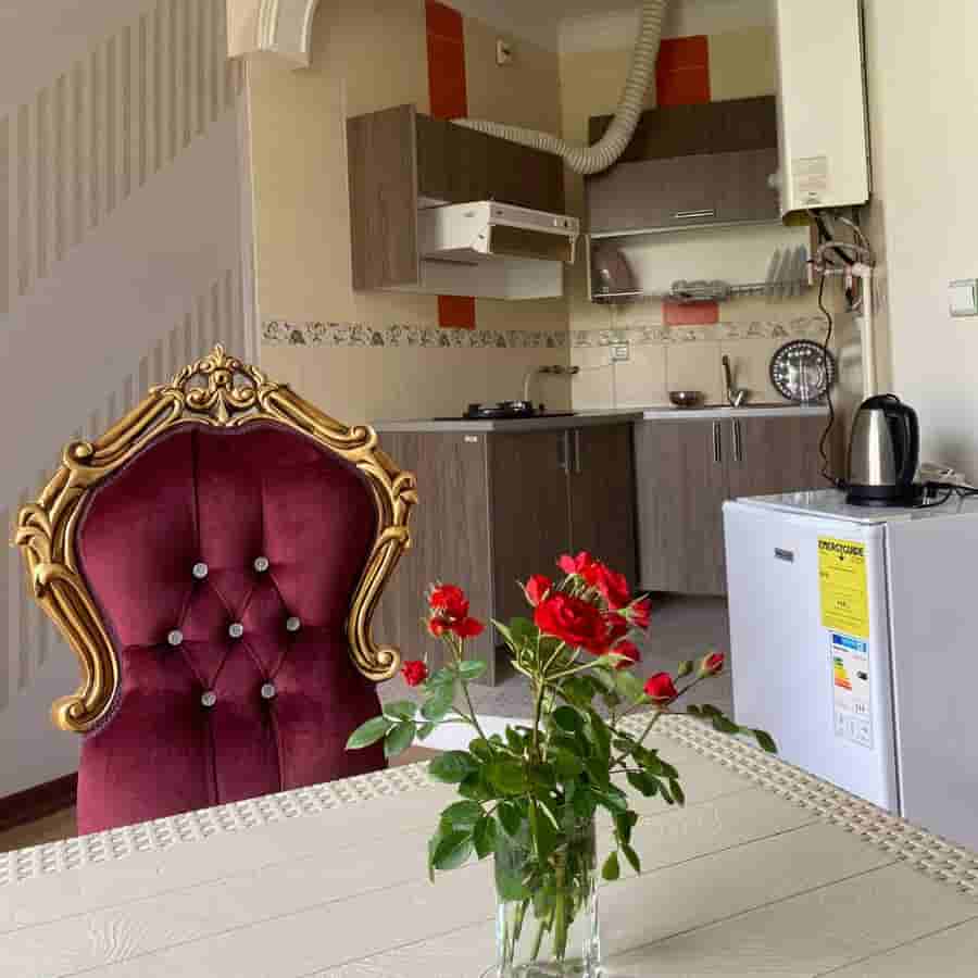 سوئیت کوهستانی در شهمیرزاد - 103 