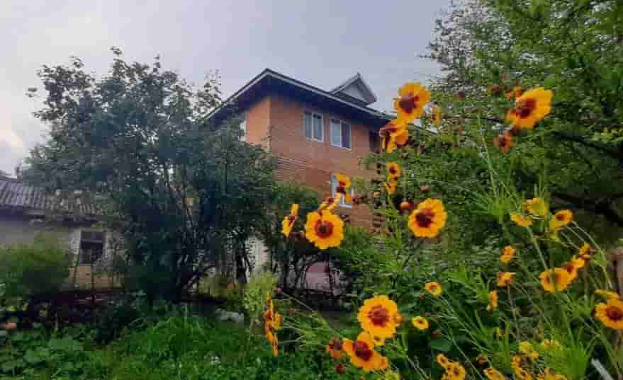  کلبه چوبی جنگلی در روستای لیپا ماسال - پارسا 2