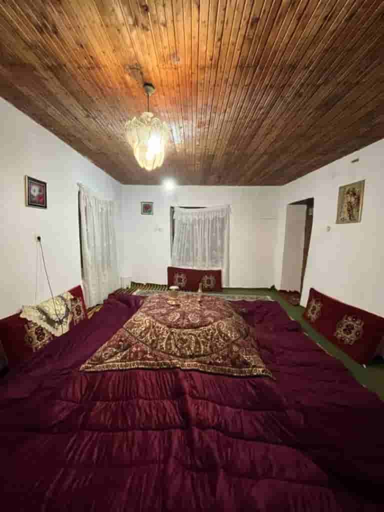 بومگردی جنگلی در روستای میرمحله ماسال - جاده ییلاق