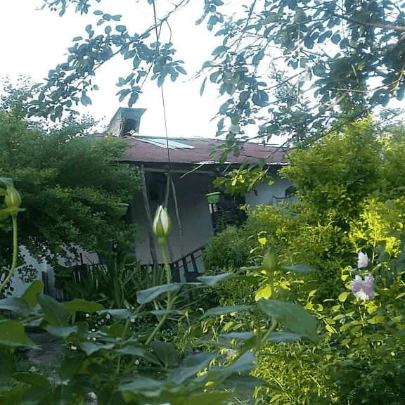 اقامتگاه بومگردی در روستای حلیمه جان رودبار