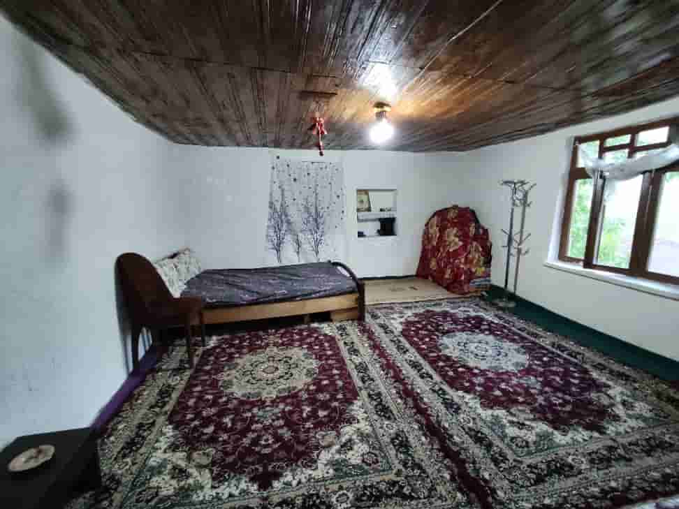 بومگردی جنگلی در روستای چسلی ماسال 