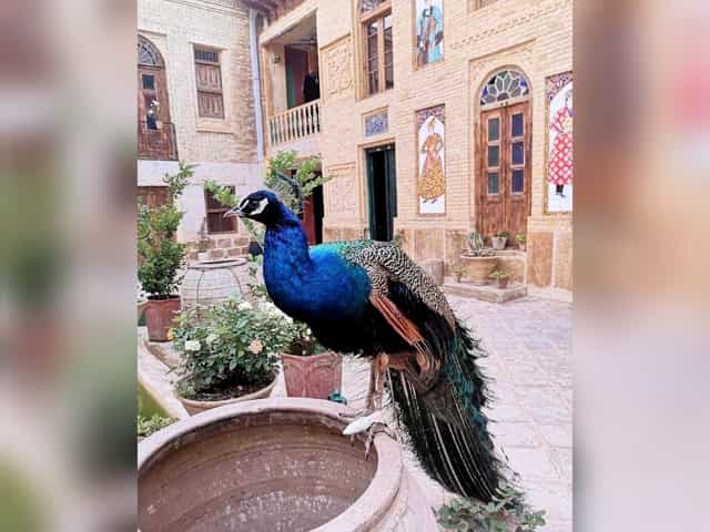 اجاره استراحتگاه سنتی در شیراز - آفتابی