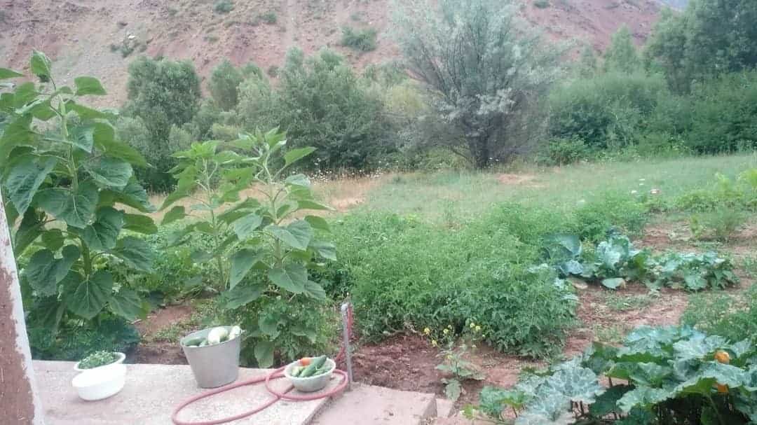 اجاره روزانه سوئیت روستایی در کلایه قزوین