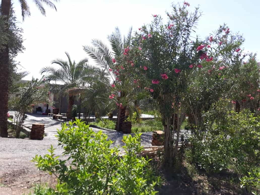 اجاره باغ‌ و ویلا در شهداد کرمان