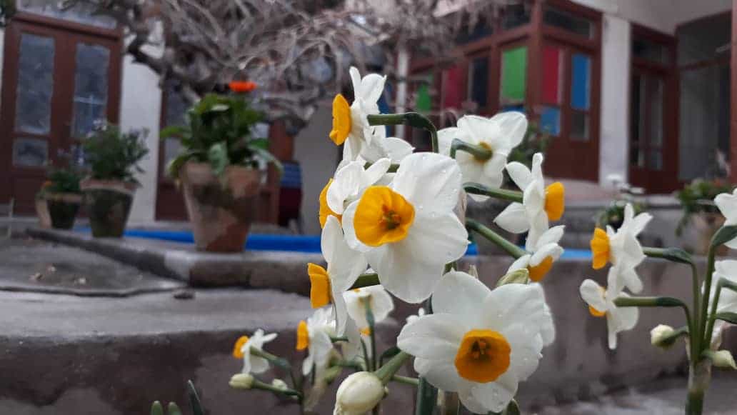 اجاره هاستل ارزان قیمت در مرکز شهر اصفهان 