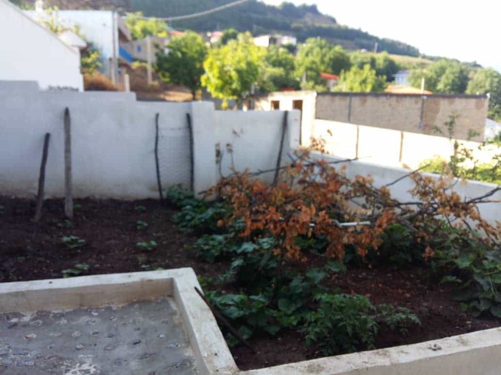 اجاره خانه ویلایی و روستایی دربست در الهادی رامیان 