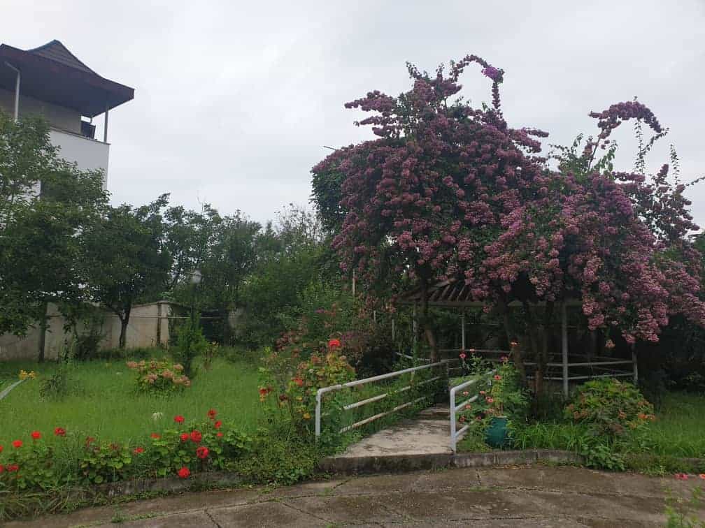 اجاره باغ ویلا جنگلی در بندپی نوشهر