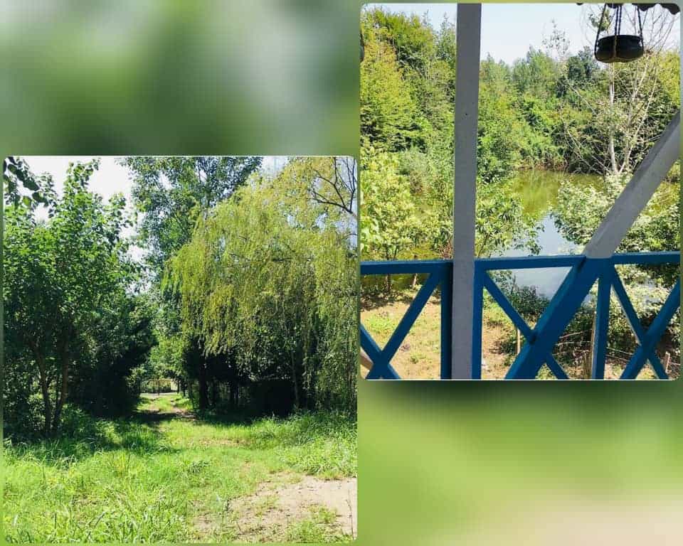 اجاره کلبه جنگلی مبله در کچا رشت - کوه