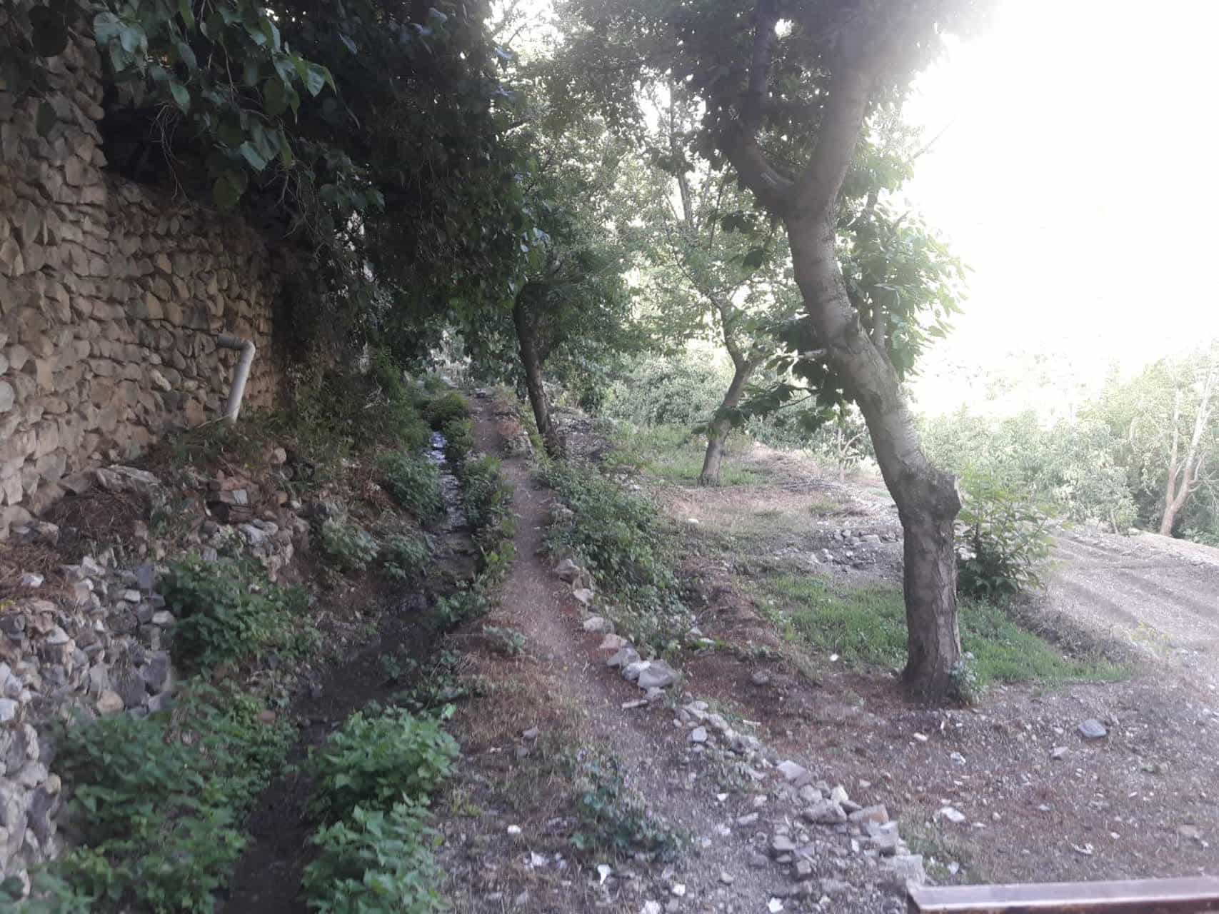اجاره سوئیت ویلایی در روستا کیگا - کوهسار