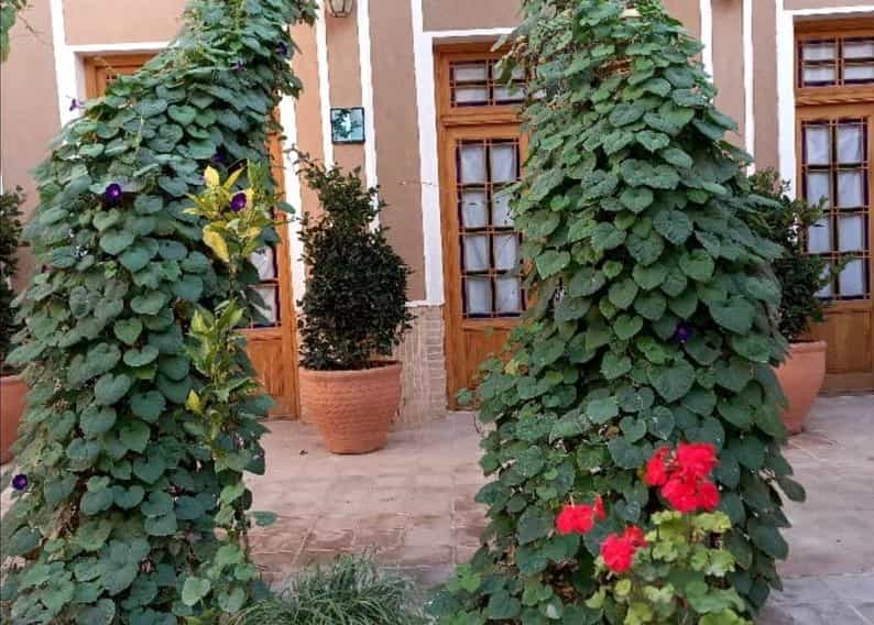 اجاره بومگردی در خیابان گلسرخ - سعادت