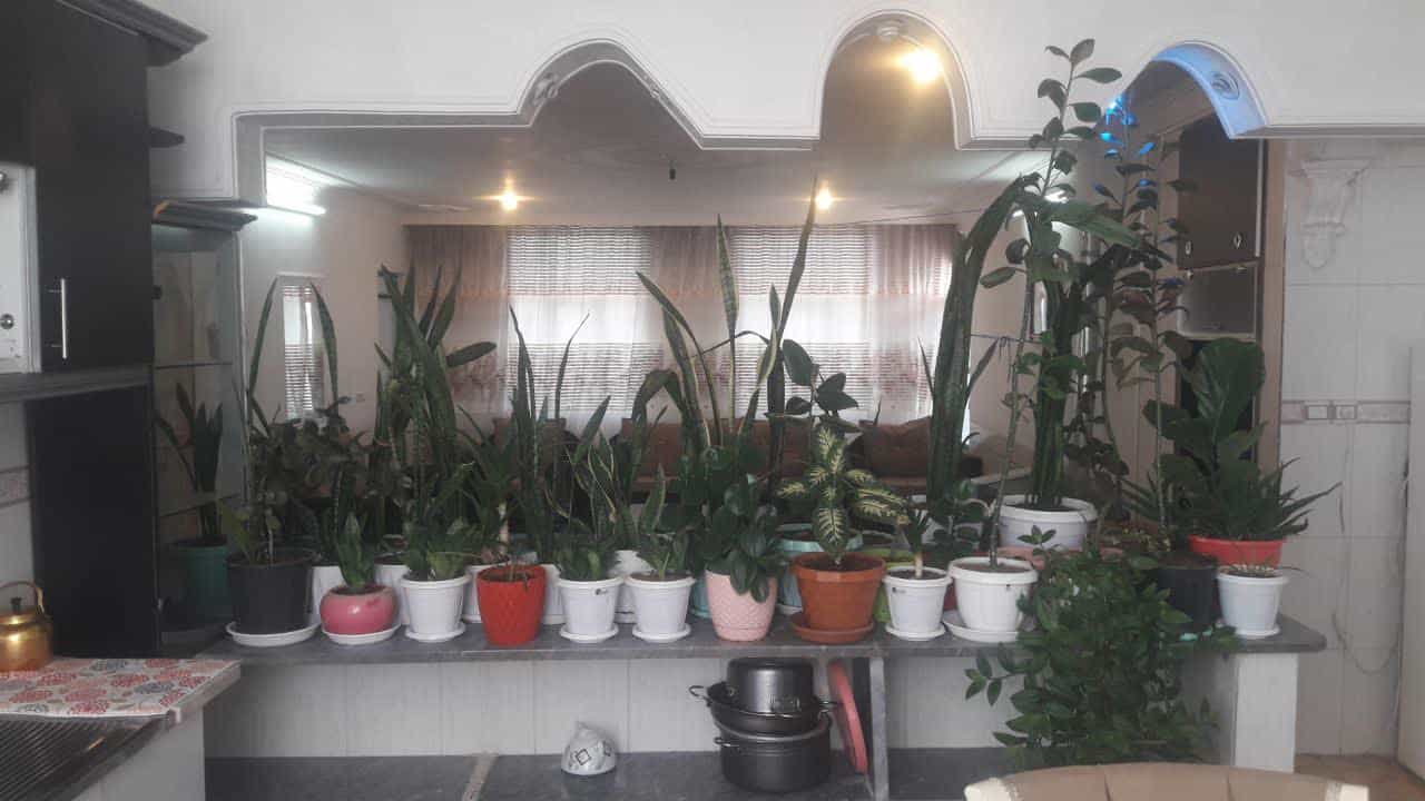 اجاره خانه ویلایی در زرنجان گلپایگان - یاس