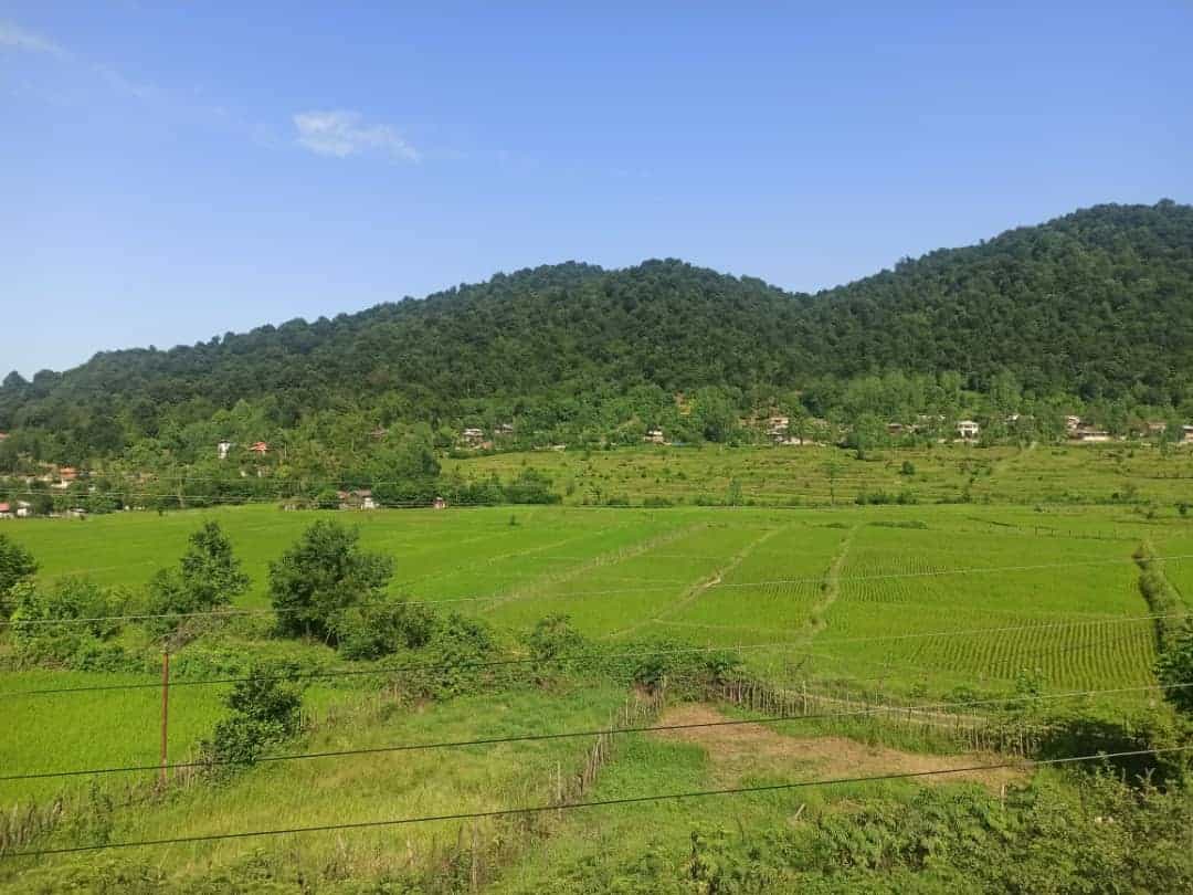 اجاره کلبه چوبی دوبلکس در ماسال