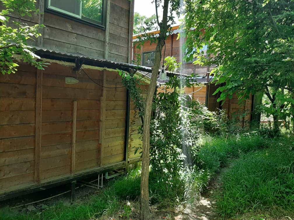 اجاره کلبه جنگلی در سردارجنگل ماسال