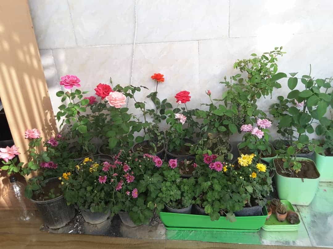 اجاره منزل مبله در شهرک بنفشه کرج