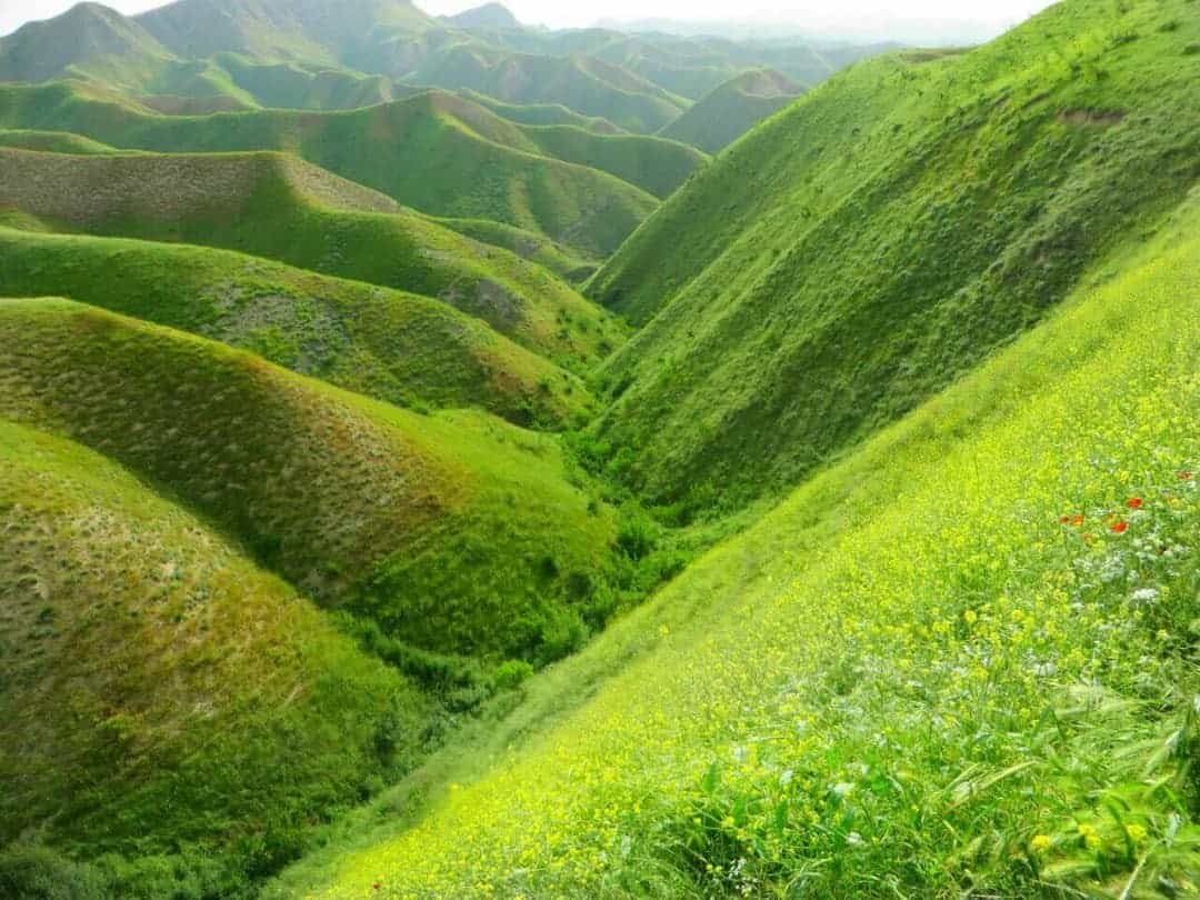 اجاره بومگردی درحومه کلاله