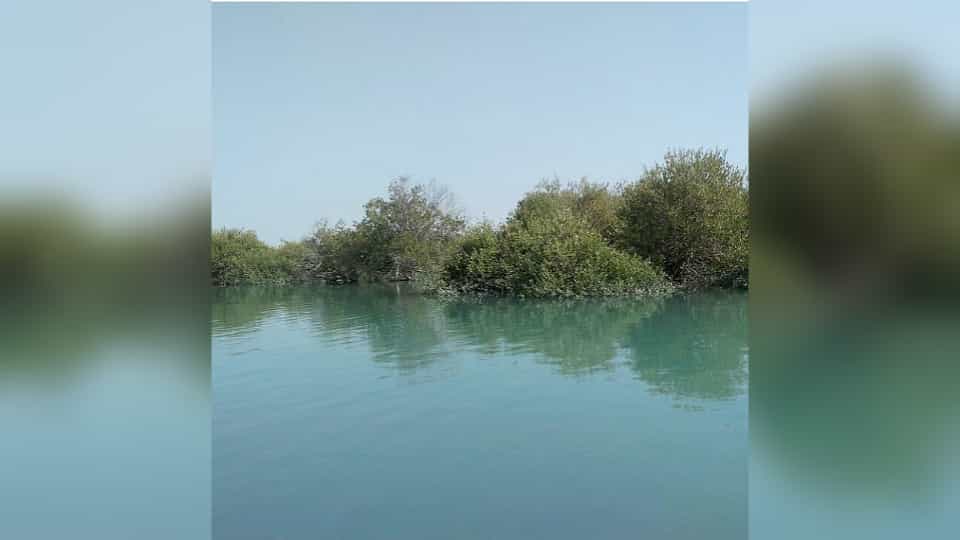 اجاره بوم گردی در سهیلی قشم
