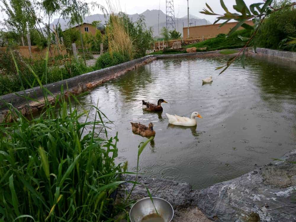 اجاره اقامتگاه بومگردی سنتی در جاده سراب کرمانشاه