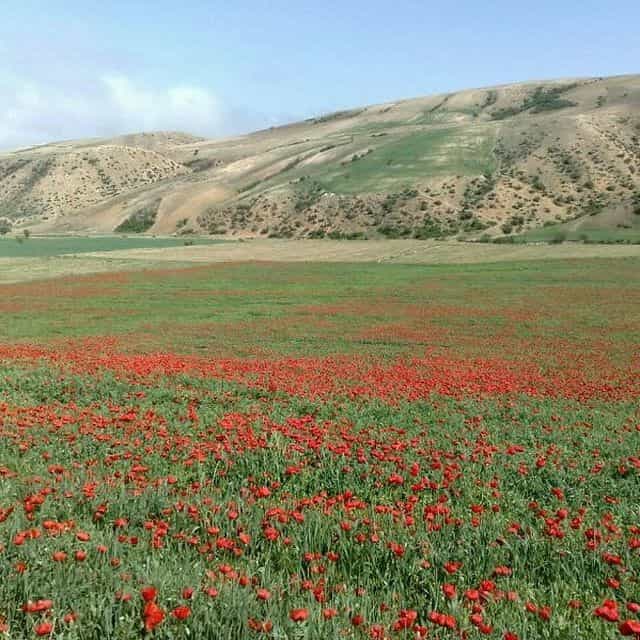 اجاره اقامتگاه بومگردی و خانه روستایی در حسین آباد شاهرود