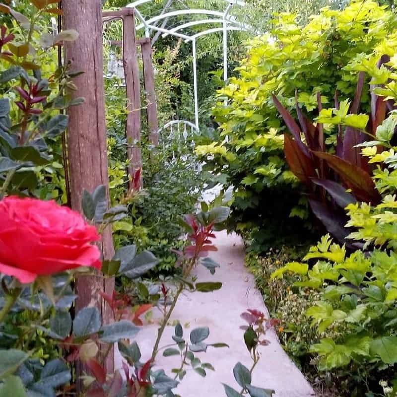 اجاره اقامتگاه بومگردی پنج نفره در ارسنجان