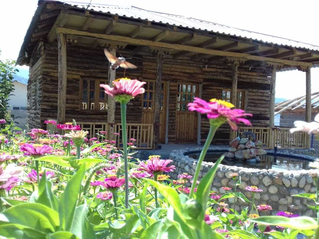اجاره کلبه چوبی در روستای جیربند بهشهر  -  افرا